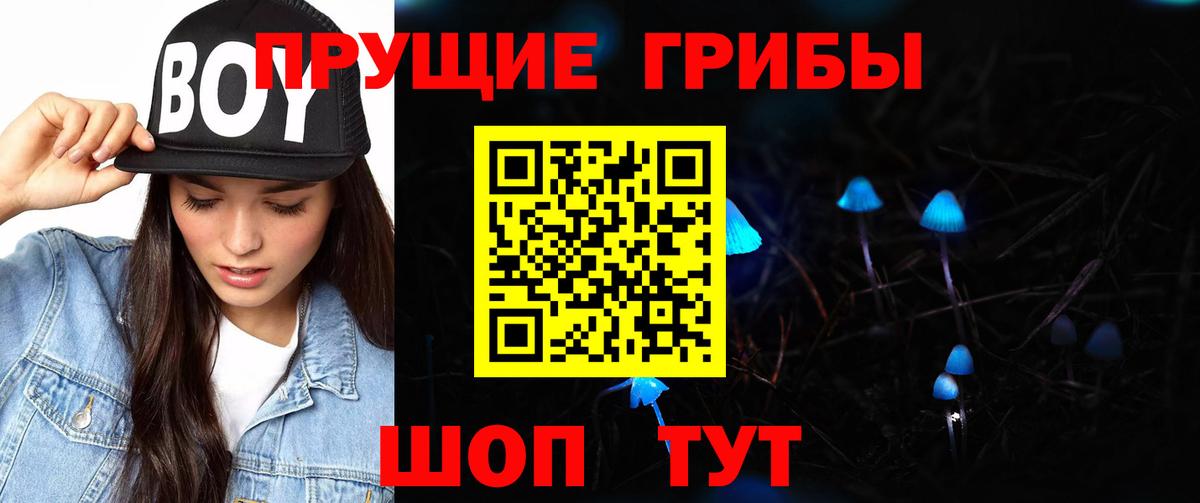 Псилоцибиновые грибы мицелий  Вход с VPN  Арсеньев 